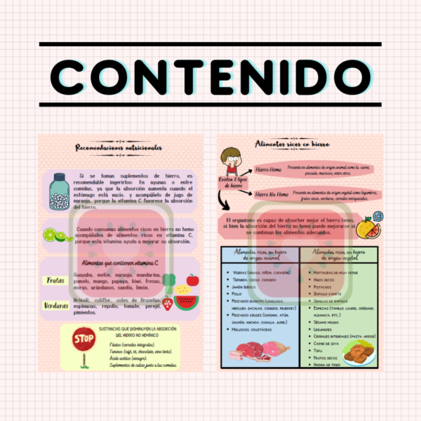 pauta de alimentación rica en hierro