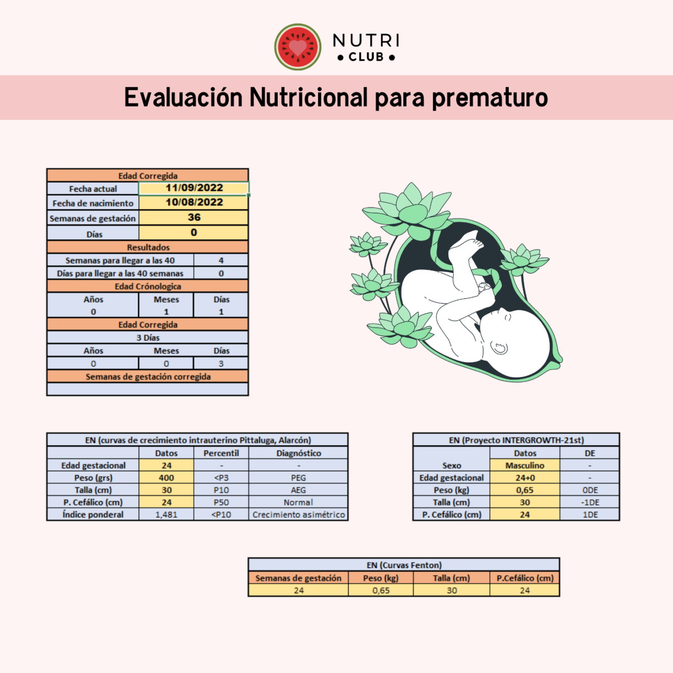 Excel Evaluación Nutricional Nutri Club