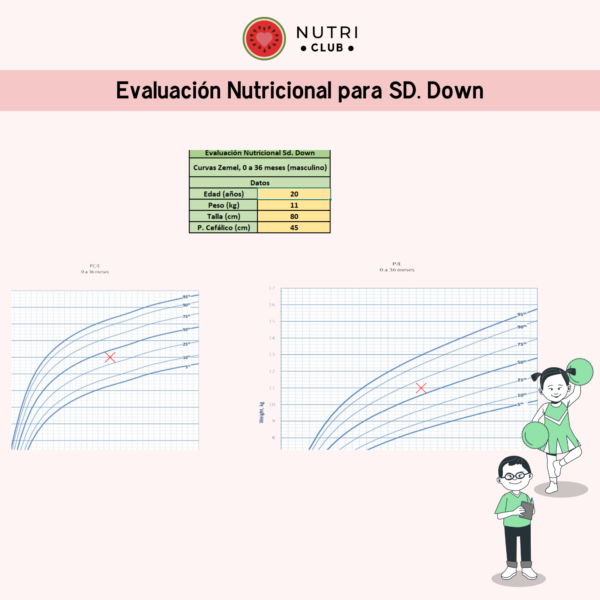 Excel de evaluación nutricional nutri club S.Down