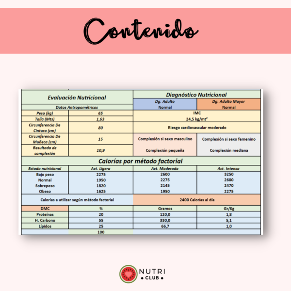 Excel consulta nutricional adulto y adulto mayo